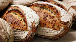 Fresh Bread